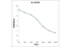 Antigen: 0. (ABAT 抗体  (AA 151-250))