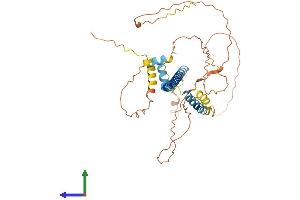 Protein Structure (PS) image for CAMP Responsive Element Binding Protein 3 (CREB3) (AA 1-404) protein (His tag) (ABIN7563930)