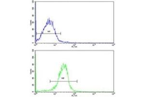 Flow cytometric (intracellular) analysis of WiDr cells using AADAC antibody (bottom histogram) compared to a negative control (top histogram). (AADAC 抗体  (AA 273-300))
