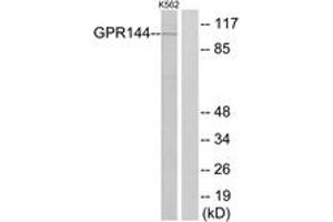 Western Blotting (WB) image for anti-G Protein-Coupled Receptor 144 (GPR144) (AA 91-140) antibody (ABIN2890848) (GPR144 抗体  (AA 91-140))