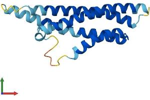 Protein Structure (PS) image for Cornichon Homolog 2 (CNIH2) (AA 1-160) protein (His tag) (ABIN7546621)