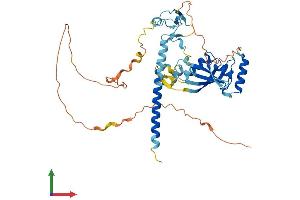 AlphaFold protein structure predicition of Mouse Recombinant Rassf5 Protein, UniprotID Q5EBH1