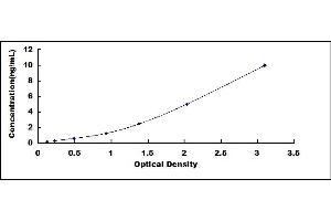 Typical standard curve (SCAF11 ELISA 试剂盒)