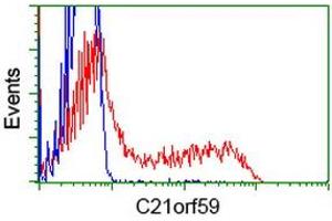 HEK293T cells transfected with either RC200169 overexpress plasmid (Red) or empty vector control plasmid (Blue) were immunostained by anti-C21orf59 antibody (ABIN2452867), and then analyzed by flow cytometry. (C21orf59 抗体)