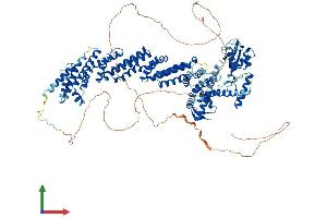 Protein Structure (PS) image for Cullin 4B (CUL4B) (AA 1-970) protein (His tag) (ABIN7561862)