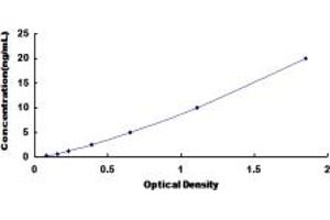 Typical standard curve (OSBPL8 ELISA 试剂盒)