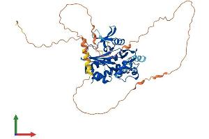 AlphaFold protein structure predicition of Human Recombinant ITPKA Protein, UniprotID P23677
