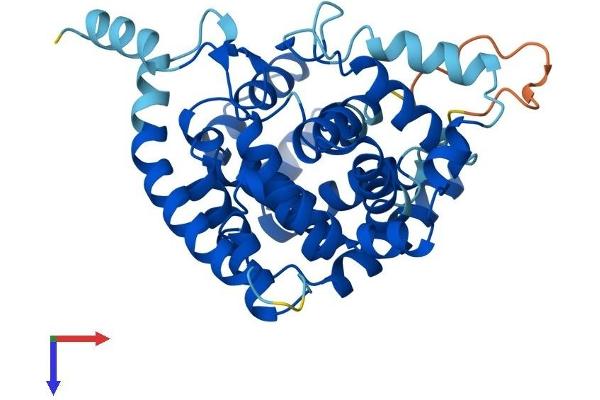GRTP1 Protein (AA 1-359) (His tag)
