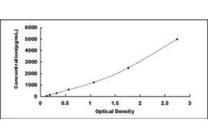 Typical standard curve (BAFF ELISA 试剂盒)