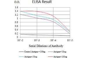 ELISA image for anti-Killer Cell Immunoglobulin-Like Receptor, three Domains, Long Cytoplasmic Tail, 1 (KIR3DL1) (AA 206-340) antibody (ABIN5611325)