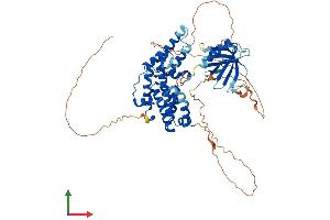 Protein Structure (PS) image for Ral GEF with PH Domain and SH3 Binding Motif 2 (RALGPS2) (AA 1-583) protein (His tag) (ABIN7551348)