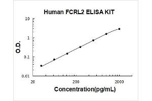 Fc Receptor-Like 2 (FCRL2) ELISA Kit
