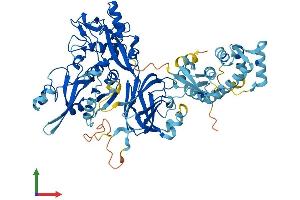 AlphaFold protein structure predicition of Mouse Recombinant Capn12 Protein, UniprotID Q9ER56