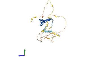 Protein Structure (PS) image for SRY (Sex Determining Region Y)-Box 18 (SOX18) (AA 1-384) protein (His tag) (ABIN7546259)