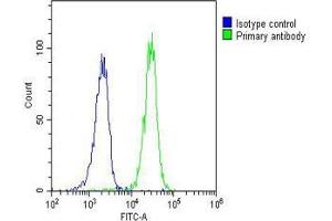Overlay histogram showing Raji cells stained with (ABIN6244076 and ABIN6577160)(green line). (RASSF2 抗体  (AA 1-326))