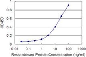 Detection limit for recombinant GST tagged MLX is 0. (MLX 抗体  (AA 1-244))