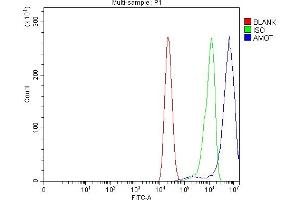Flow Cytometry analysis of CACO-2 cells using anti-Angiomotin/AMOT antibody (ABIN7599826). (Angiomotin 抗体  (AA 12-622))