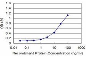 Detection limit for recombinant GST tagged EN1 is approximately 1ng/ml as a capture antibody. (EN1 抗体  (AA 266-392))