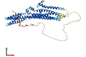 Protein Structure (PS) image for Tweety Homolog 3 (TTYH3) (AA 1-524) protein (His tag) (ABIN7557997)