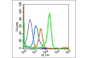 Mouse Spleen cells probed with CD8a Polyclonal Antibody, unconjugated  at 1:100 dilution for 30 minutes compared to control cells (blue) and isotype control (orange) (CD8 抗体  (AA 101-200))