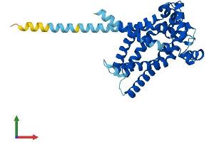 Protein Structure (PS) image for Solute Carrier Family 25, Member 42 (SLC25A42) (AA 1-318) protein (His tag) (ABIN7559648)