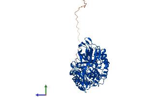 AlphaFold protein structure predicition of Human Recombinant GLB1L3 Protein, UniprotID Q8NCI6