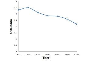 ELISA image for anti-Death Effector Domain Containing (DEDD) (AA 151-250) antibody (ABIN872742)