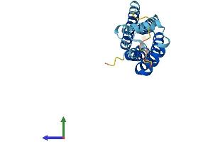 Protein Structure (PS) image for Tetraspanin 31 (TSPAN31) (AA 1-210) protein (His tag) (ABIN7560519)