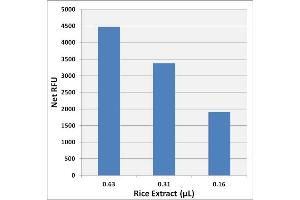 Starch Detection in Total Rice Extract using the Starch Assay Kit (Fluorometric)