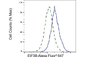 Validation of EIF3B knockdown using flow cytometry. (Recombinant EIF3B 抗体)