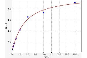 Typical standard curve (SLC12A1 ELISA 试剂盒)