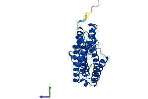 AlphaFold protein structure predicition of Human Recombinant ICMT Protein, UniprotID O60725