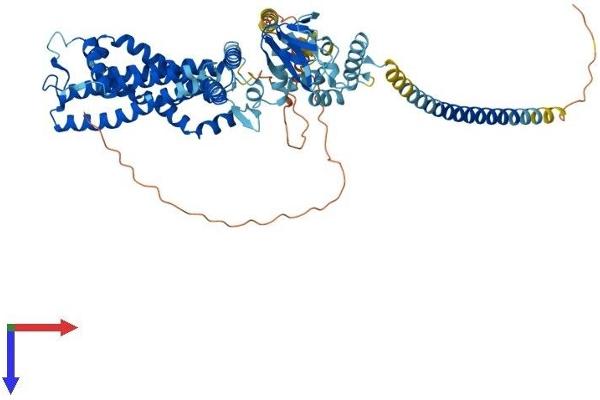 CNGA2 Protein (AA 1-664) (His tag)