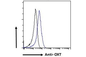 ABIN570836 Flow cytometric analysis of paraformaldehyde fixed NIH3T3 cells (blue line), permeabilized with 0. (OXT 抗体  (C-Term))