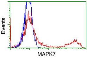 Flow Cytometry (FACS) image for anti-Mitogen-Activated Protein Kinase 12 (MAPK12) antibody (ABIN1499301) (MAPK12 抗体)