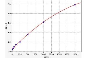 WNT Inhibitory Factor 1 (WIF1) ELISA Kit