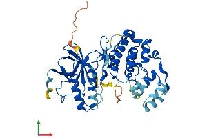 AlphaFold protein structure predicition of Mouse Recombinant Mapk12 Protein, UniprotID O08911