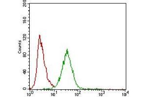 Flow cytometric analysis of Hela cells using ZEB1 mouse mAb (green) and negative control (red). (ZEB1 抗体  (AA 967-1108))