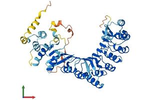 AlphaFold protein structure predicition of Human Recombinant PRAMEF5 Protein, UniprotID Q5TYX0