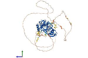 Protein Structure (PS) image for P21-Activated Kinase 6 (PAK6) (AA 1-681) protein (His tag) (ABIN7554874)