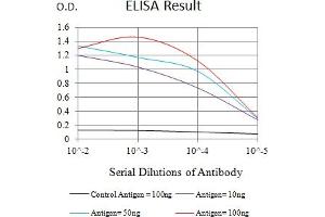 Black line: Control Antigen (100 ng),Purple line: Antigen (10 ng), Blue line: Antigen (50 ng), Red line:Antigen (100 ng) (BCAM 抗体  (AA 32-197))