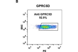 Flow Cytometry (FACS) image for anti-G Protein-Coupled Receptor, Family C, Group 5, Member D (GPRC5D) (AA 2-21) antibody (ABIN7092892) (GPRC5D 抗体  (AA 2-21))