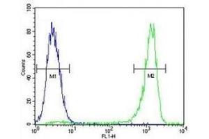 VEGFC antibody flow cytometric analysis of MCF-7 cells (green) compared to a negative control (blue). (VEGFC 抗体  (AA 20-49))