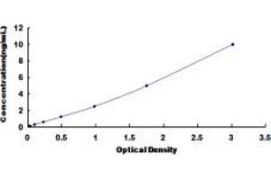 ELISA image for Tumor Necrosis Factor Receptor Superfamily, Member 1B (TNFRSF1B) ELISA Kit (ABIN6960297)