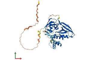 Protein Structure (PS) image for GIPC PDZ Domain Containing Family, Member 1 (GIPC1) (AA 1-333) protein (His tag) (ABIN7547914)