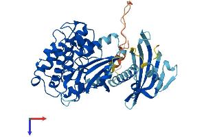CAMK2A Protein (AA 1-478) (His tag)
