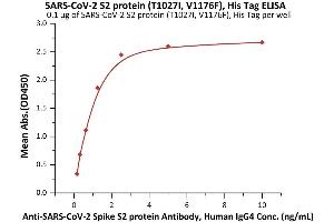 ELISA image for SARS-CoV-2 Spike S2 (P.1 - gamma) (Active) protein (His tag) (ABIN6992375)