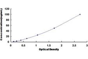 Typical standard curve (Prothrombin ELISA 试剂盒)