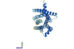 AlphaFold protein structure predicition of Mouse Recombinant Tas2r120 Protein, UniprotID Q7M721 (TAS2R120 Protein (AA 1-295) (His tag))