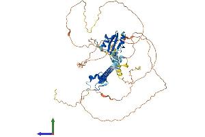 Protein Structure (PS) image for Deformed Epidermal Autoregulatory Factor 1 (Drosophila) (DEAF1) (AA 1-566) protein (His tag) (ABIN7565284)